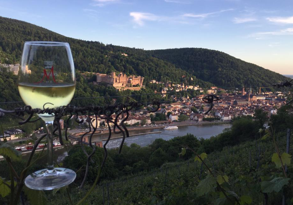 Adam Müller - Weingut